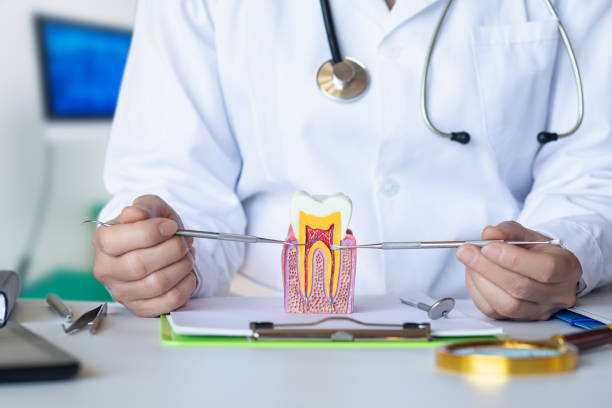 Best Emergency Dental Care for Broken or Chipped Teeth in Palmer Lake, CO